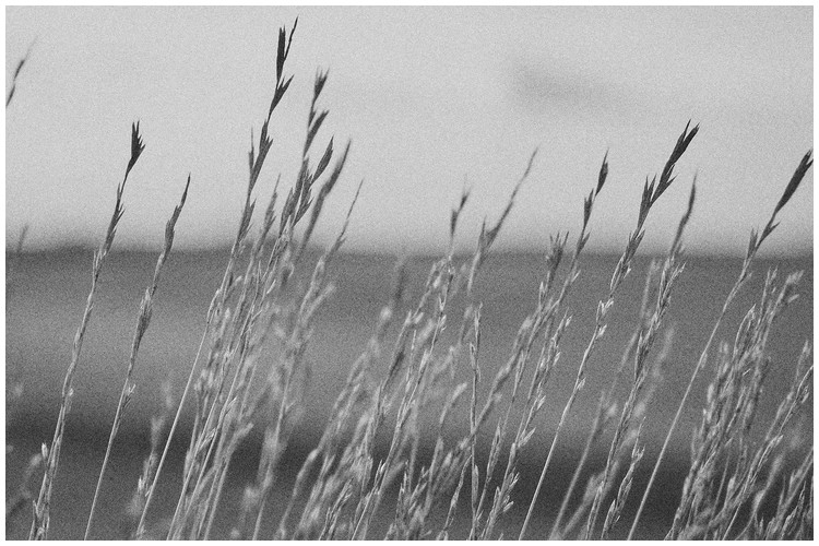 Autumn fields - Trabajo Personal Trabajo personal fotográfico que entremezcla los colores, formas y texturas de la realidad con la plasticidad de lo etéreo.