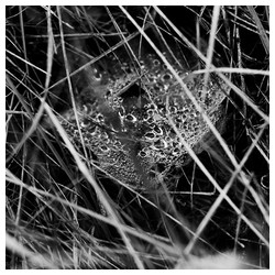 Cold night - Trabajo Personal Trabajo personal fotográfico que entremezcla los colores, formas y texturas de la realidad con la plasticidad de lo etéreo.