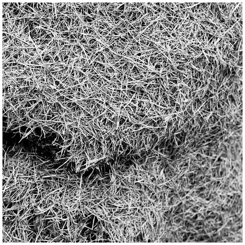 Compost - Trabajo Personal Trabajo personal fotográfico que entremezcla los colores, formas y texturas de la realidad con la plasticidad de lo etéreo.