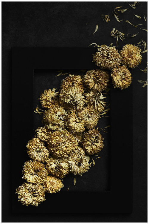 Flores secas - Fotografía y estilismo Fotografía y estilismo para proyecto de cuadros fotográficos.