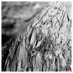Getting Old - Trabajo Personal Trabajo personal fotográfico que entremezcla los colores, formas y texturas de la realidad con la plasticidad de lo etéreo.