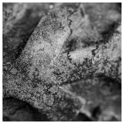 Road - Trabajo Personal Trabajo personal fotográfico que entremezcla los colores, formas y texturas de la realidad con la plasticidad de lo etéreo.