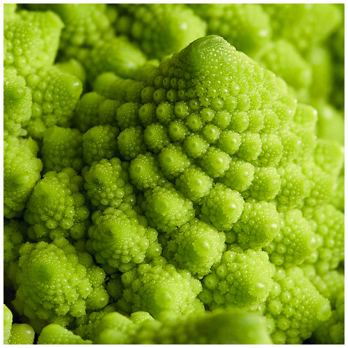 Romanesco - Fotografía macro Detalle macro del romanesco.