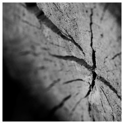Stretch marks from Mother Nature - Trabajo Personal Trabajo personal fotográfico que entremezcla los colores, formas y texturas de la realidad con la plasticidad de lo etéreo.
