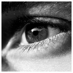 The eye - Trabajo Personal Trabajo personal fotográfico que entremezcla los colores, formas y texturas de la realidad con la plasticidad de lo etéreo.