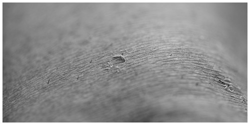 Under my skin - Trabajo Personal Trabajo personal fotográfico que entremezcla los colores, formas y texturas de la realidad con la plasticidad de lo etéreo.